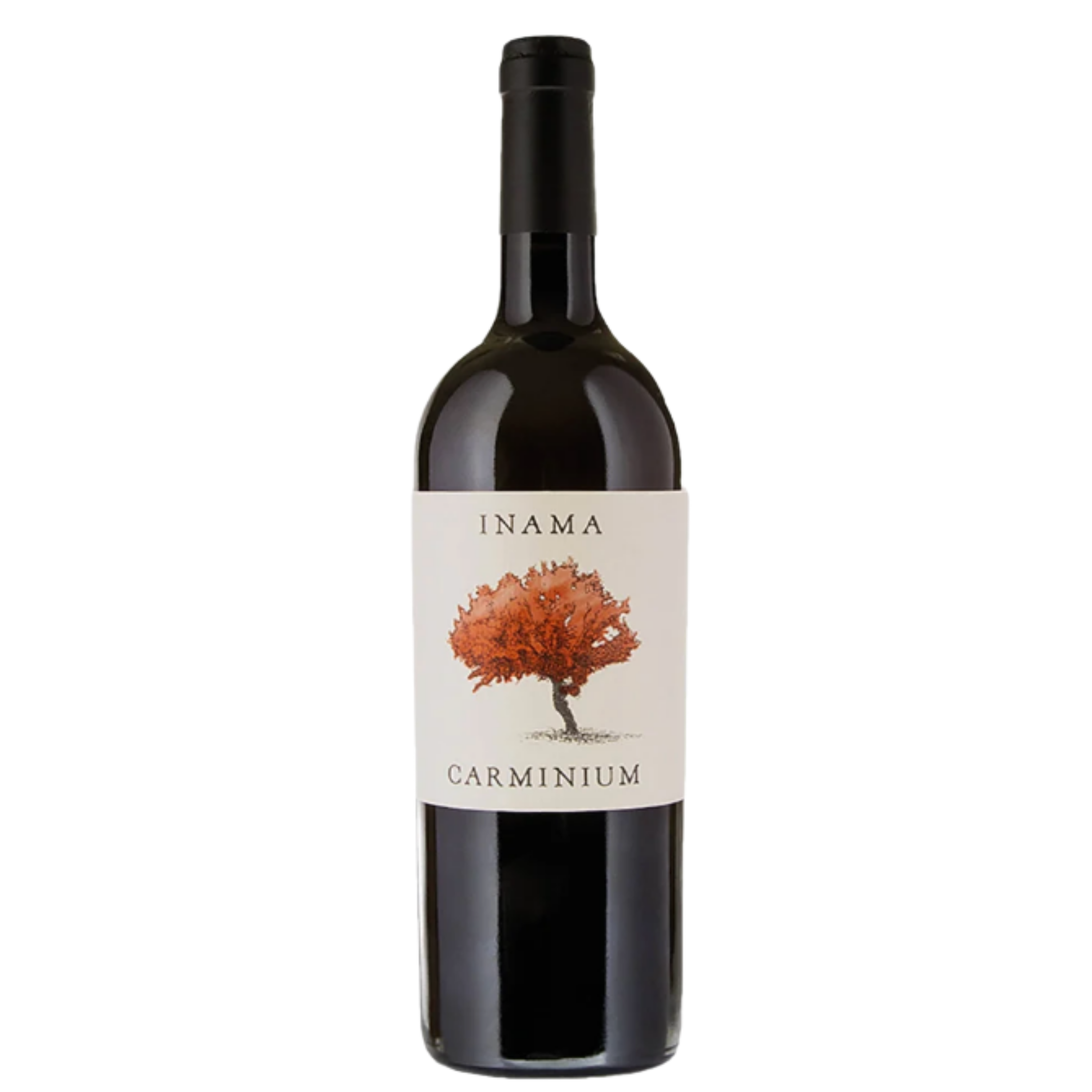 Carmenere, Carminium, Inama, Veneto, Italy (2019)