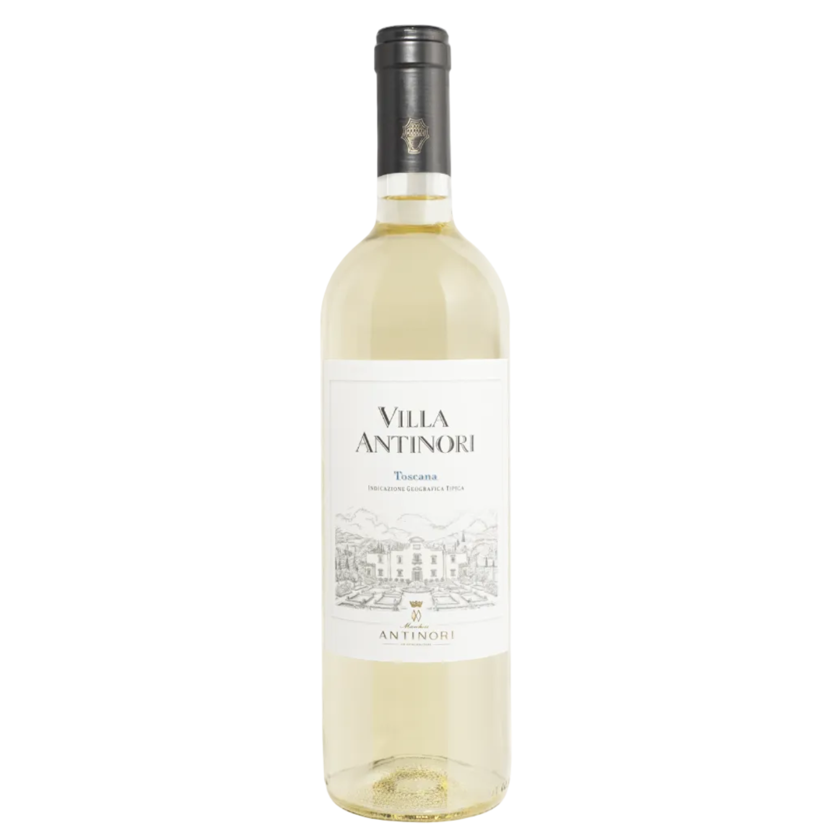 Trebbiano, Villa Antinori, Toscana, Italy (2024)