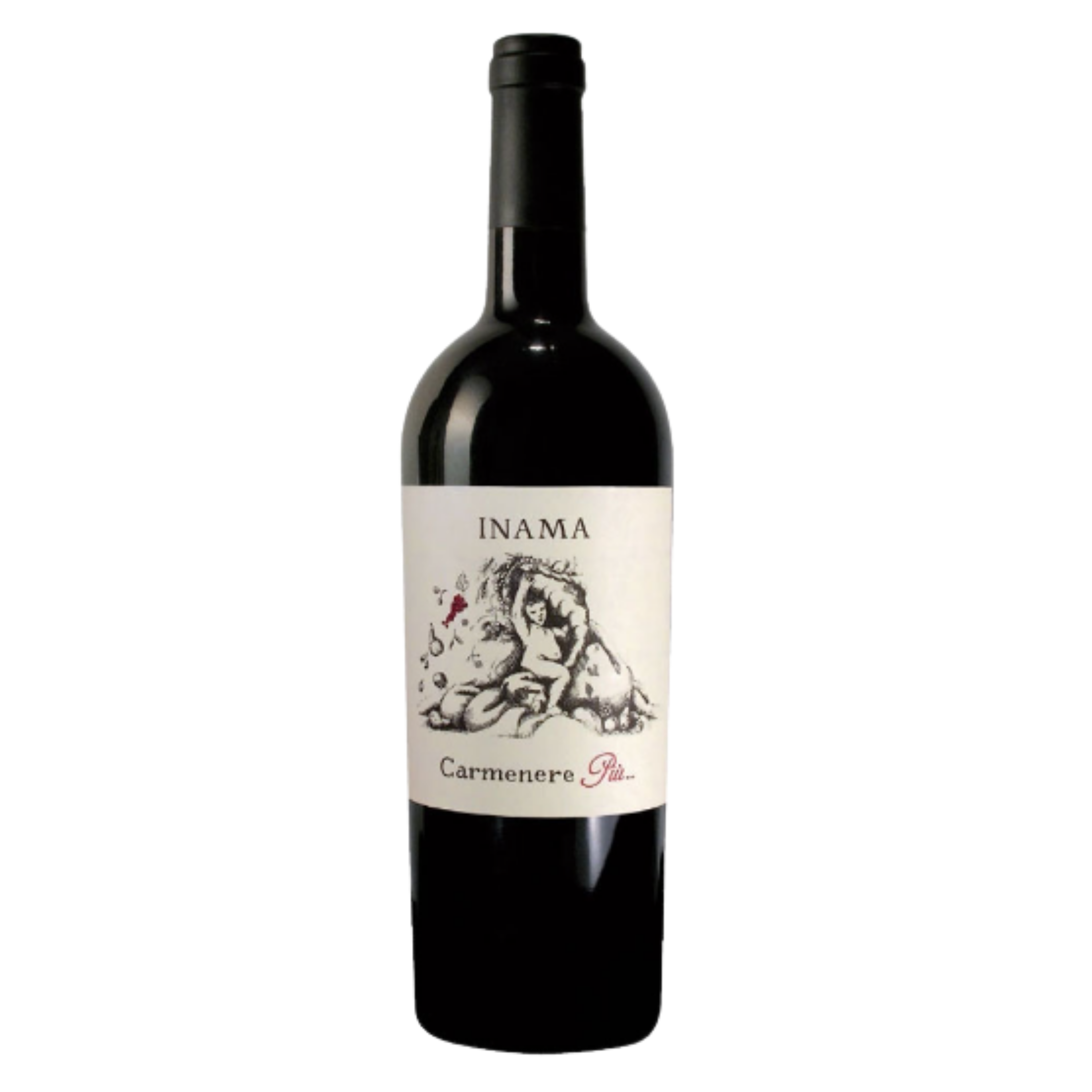 Carmenere, Merlot , Carmenere Piu', Inama, Veneto, Italy (2020)