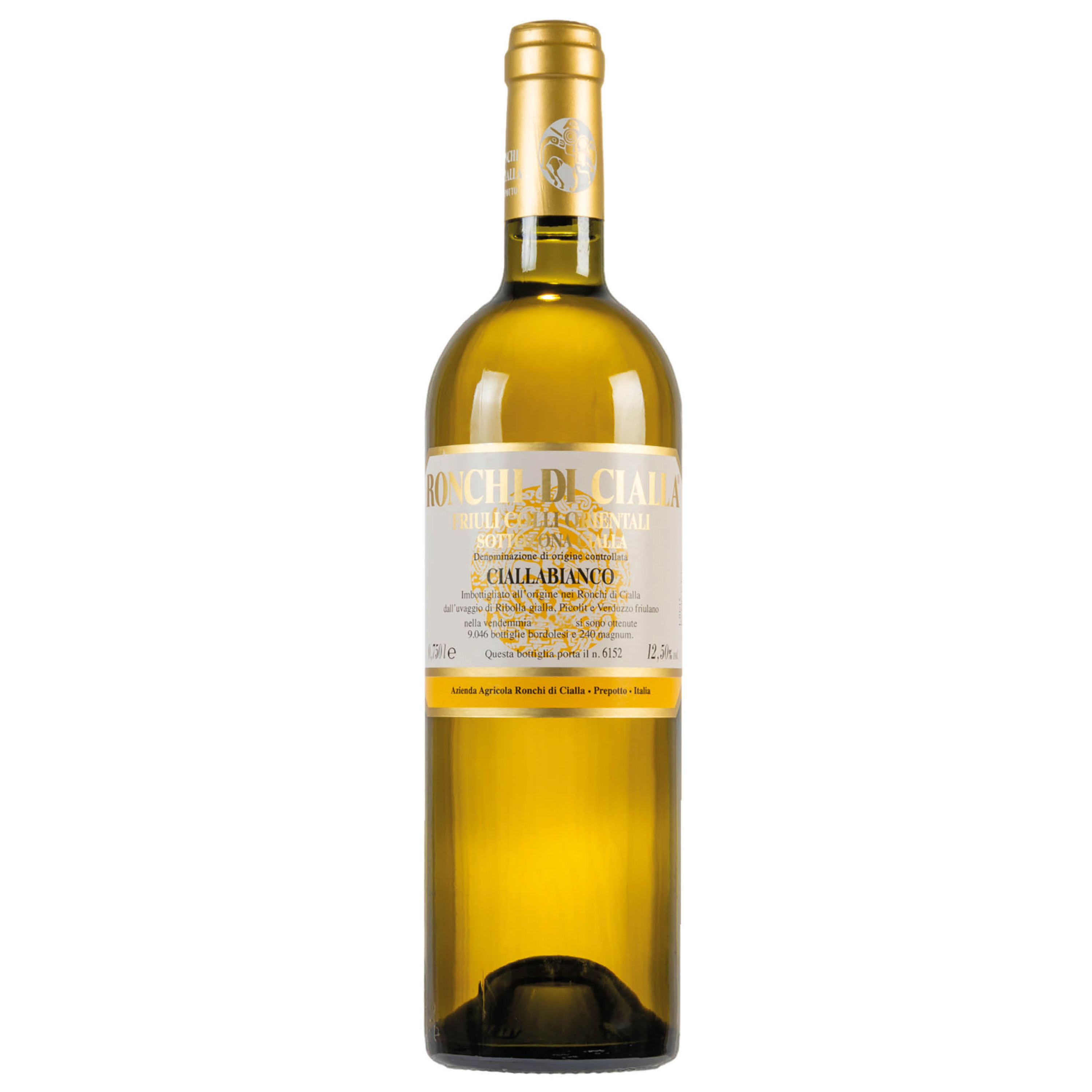 Ribolla Gialla , Ciallabianco , Ronchi di Cialla , Friuli Venezia Giulia, Italy (2016)