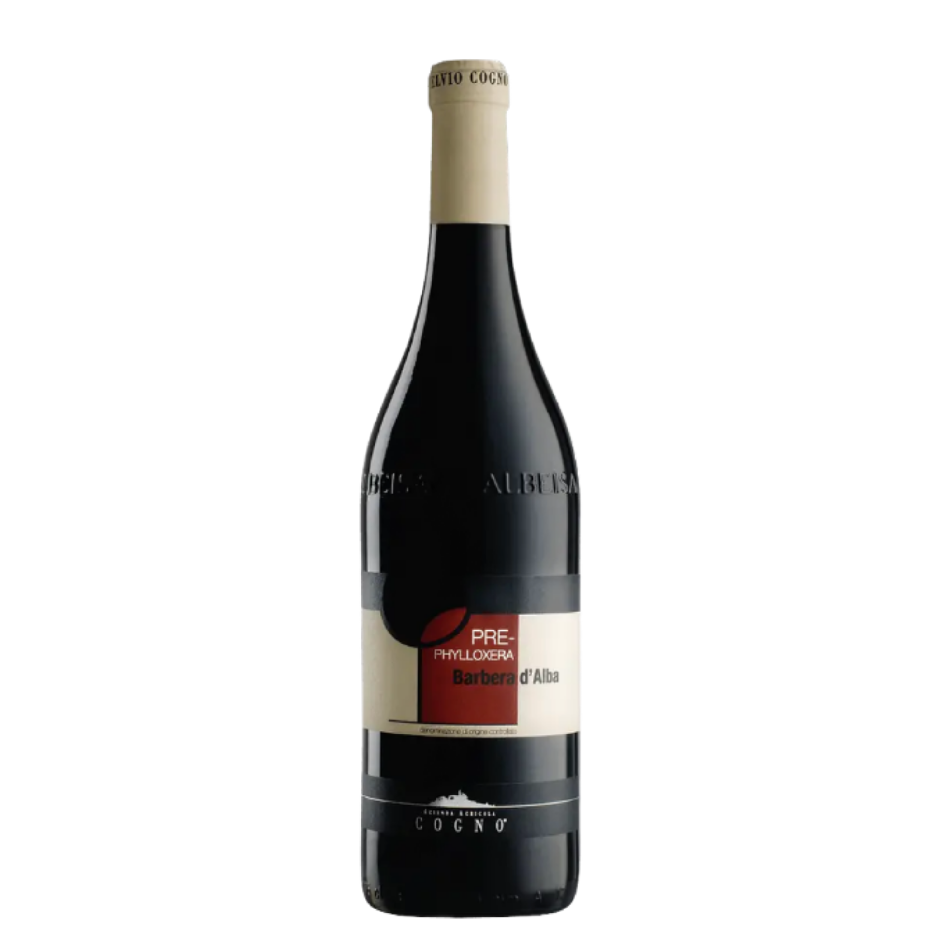 Barbera Pre Filossera, Cogno, Alba, Piemonte, Italy (2019)